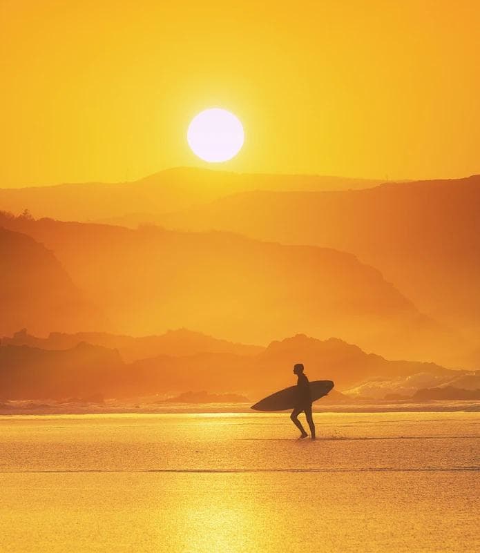 Model Portfolio action section visual