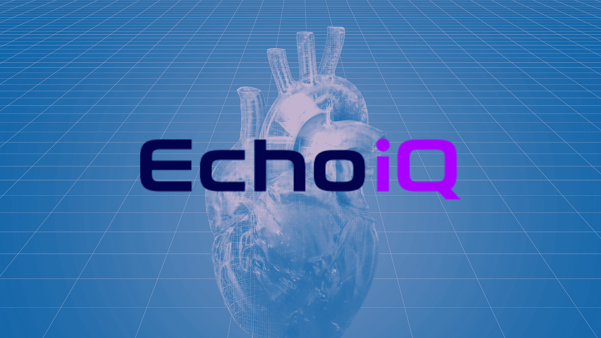 Stock of the day: EchoIQ (EIQ)